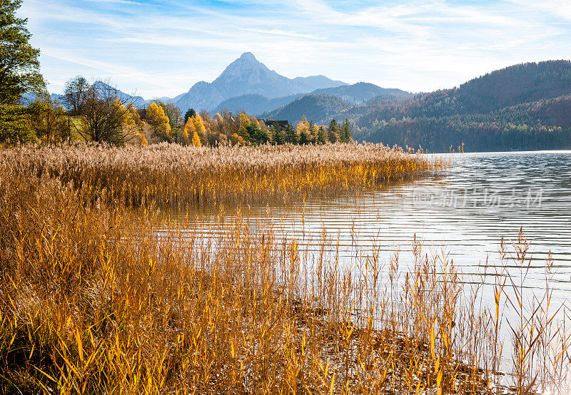 德国巴伐利亚州，Füssen, Ostallgäu，秋天的weiensee湖